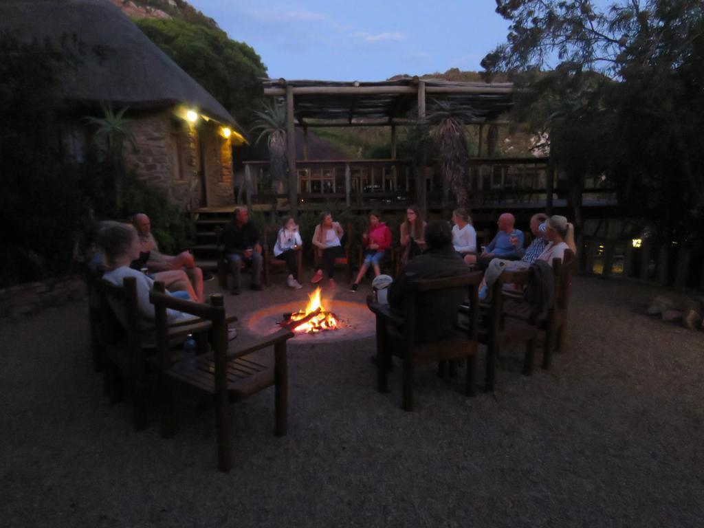 Woodbury Lodge - Amakhala Game Reserve Luaran gambar