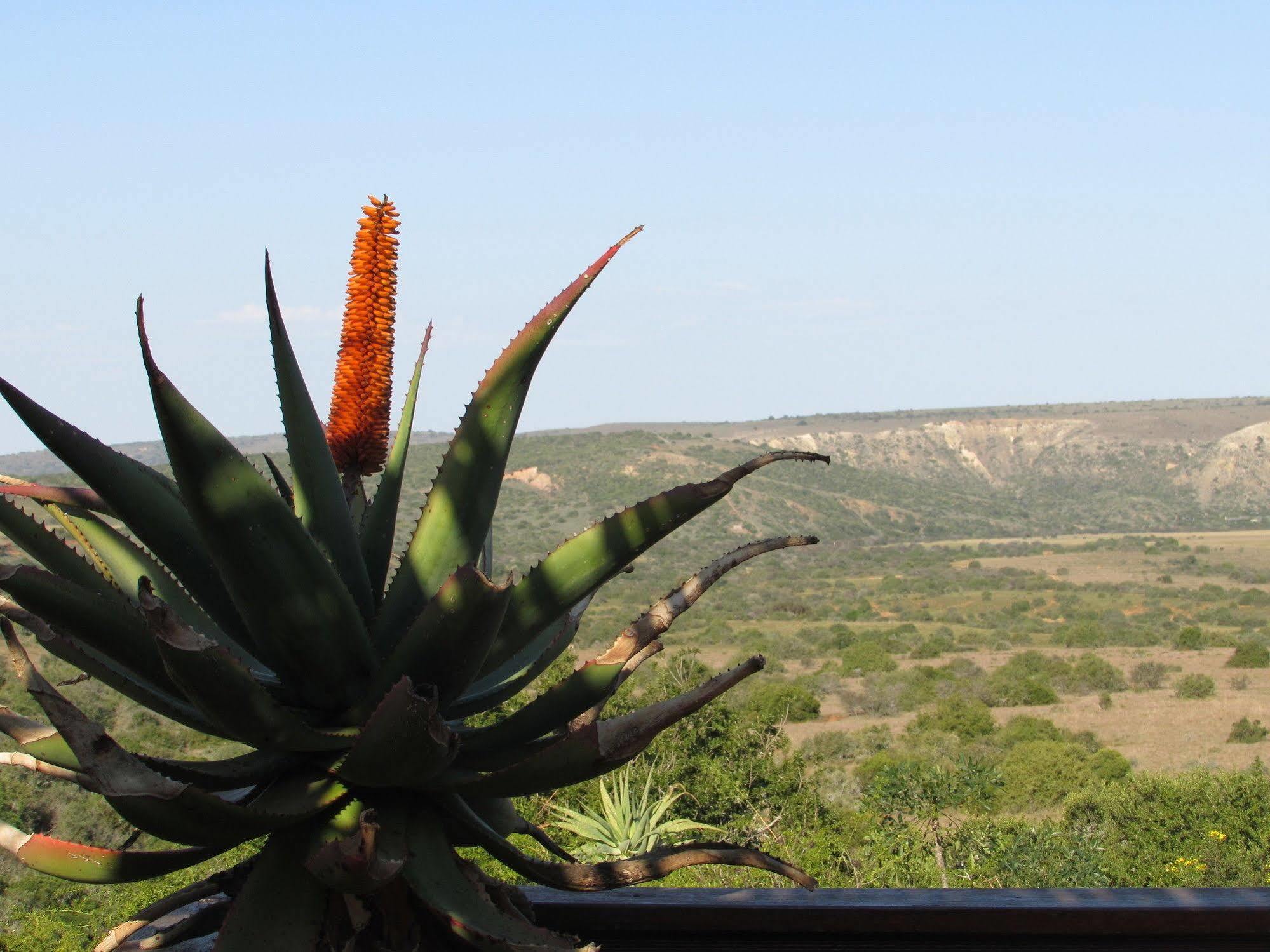 Woodbury Lodge - Amakhala Game Reserve Luaran gambar