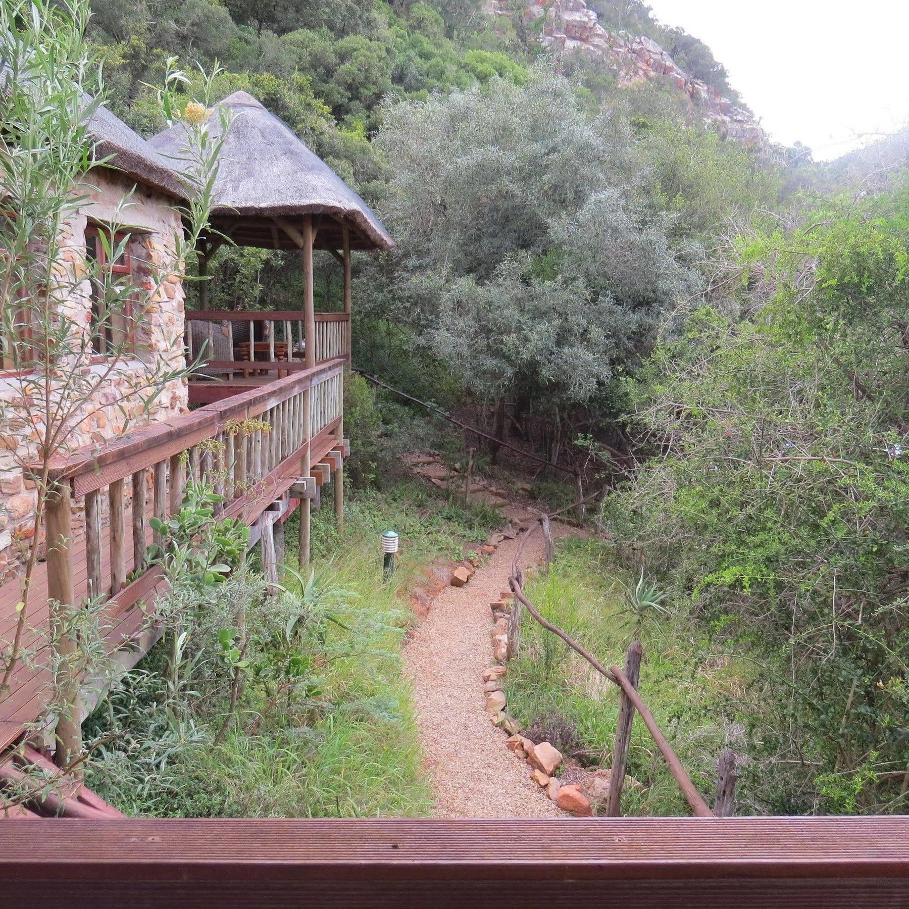 Woodbury Lodge - Amakhala Game Reserve Luaran gambar